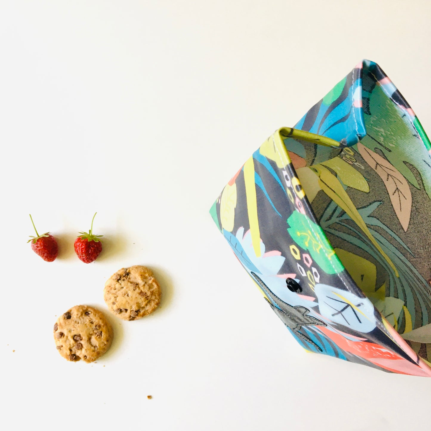 Lunch-bag jungle toucan